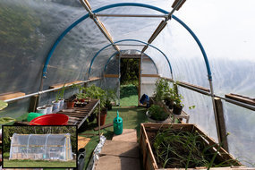 Polytunnel